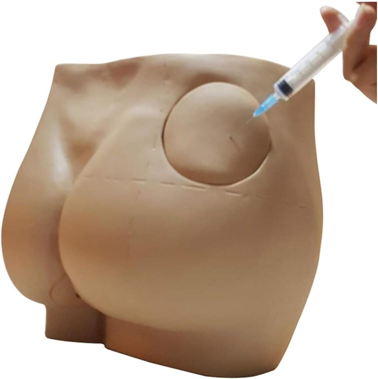 Modelo Anatómico Inyección Intramuscular