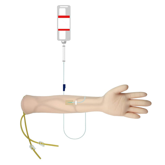 Maniquí Brazo Simulador de Acceso IV