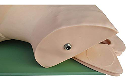 Maniquí de Intubación ProSafety IET001
