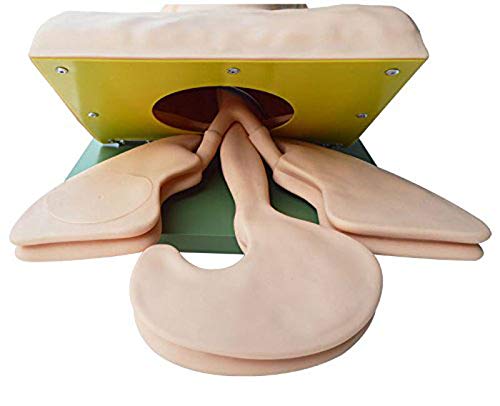 Maniquí de Intubación ProSafety IET001