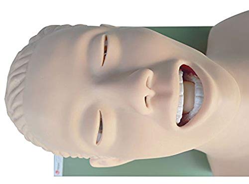 Maniquí de Intubación ProSafety IET001