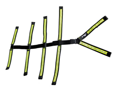 Cinturón Araña De 10 Puntos Sujetador Para Camilla