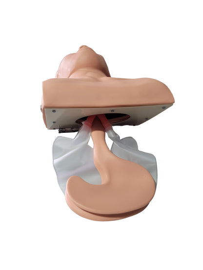 Maniquí de Intubación ProSafety IET001
