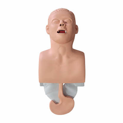 Maniquí de Intubación ProSafety IET001