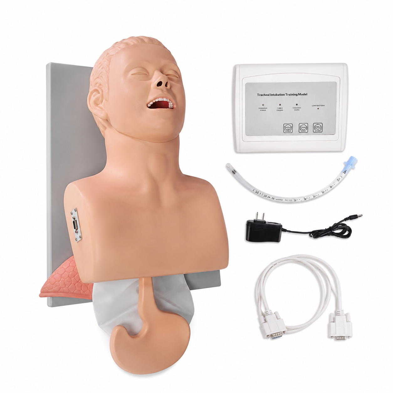 Maniquí de Intubación ProSafety IET001