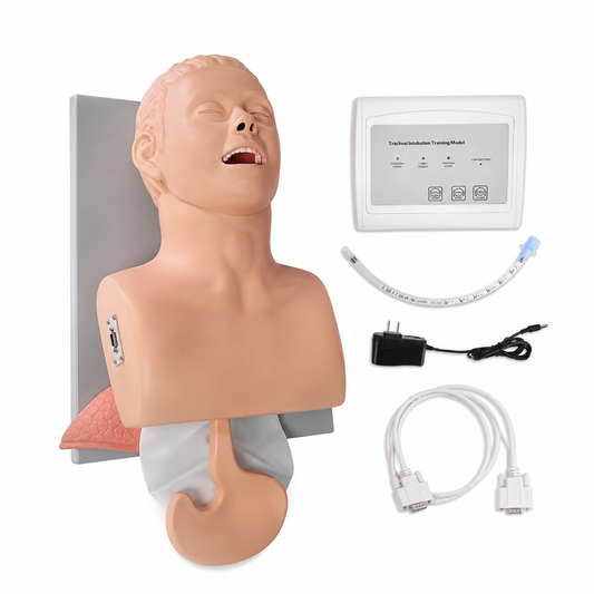 Maniquí de Intubación ProSafety IET001
