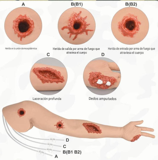Simulador de Heridas y Control De Hemorragias